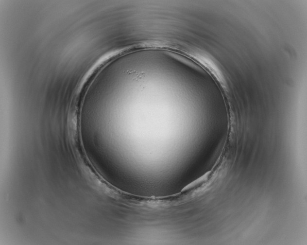 X0000113041000200909101914