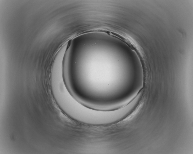 X0000113041001200909101914