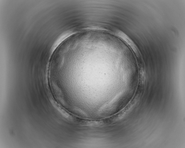 X0000113041002200909101914