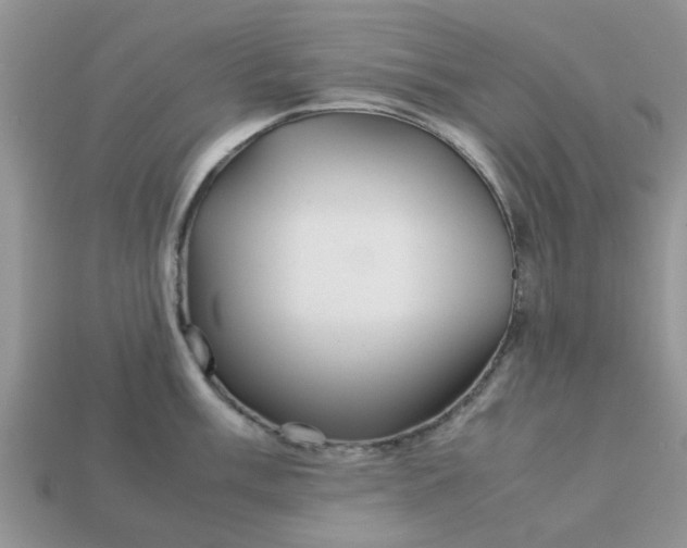 X0000113041003200909101914