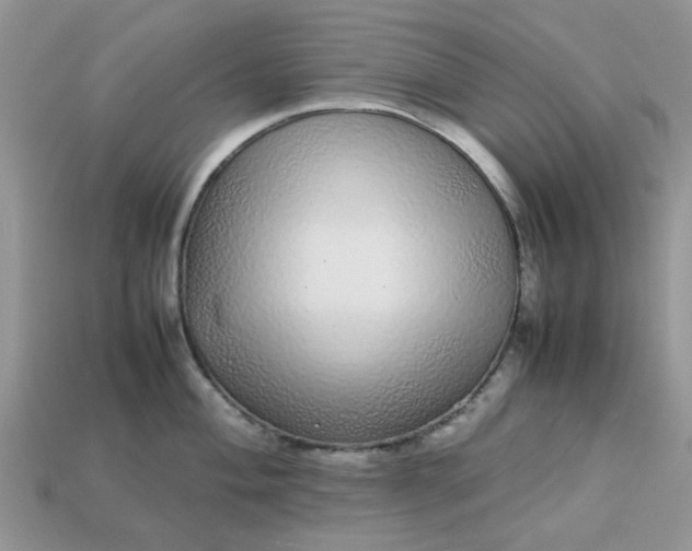 X0000113041004200909101914