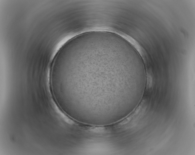 X0000113041006200909101914