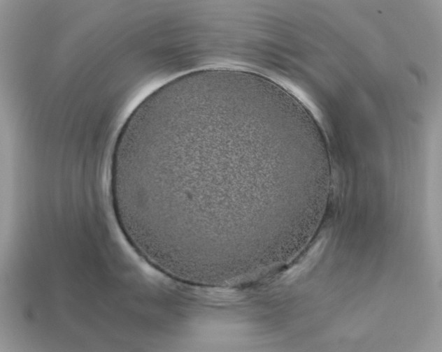 X0000113041007200909101914