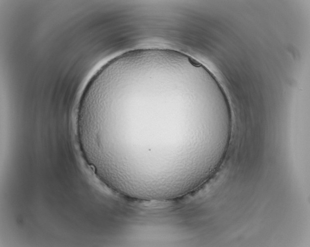 X0000113041008200909101914
