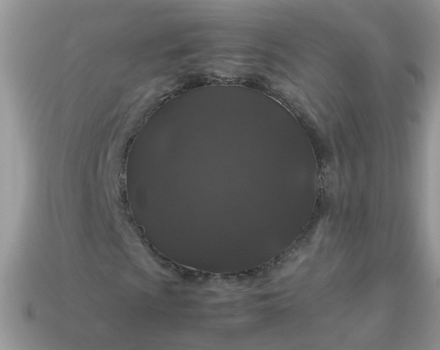 X0000113041009200909101914