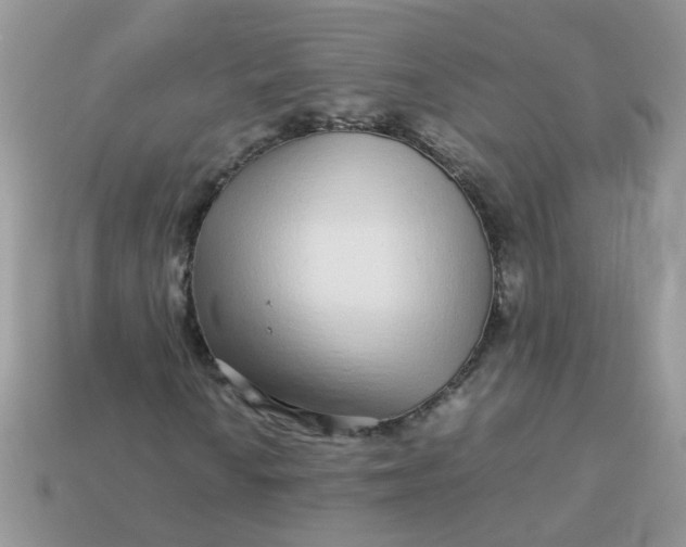 X0000113041010200909101914