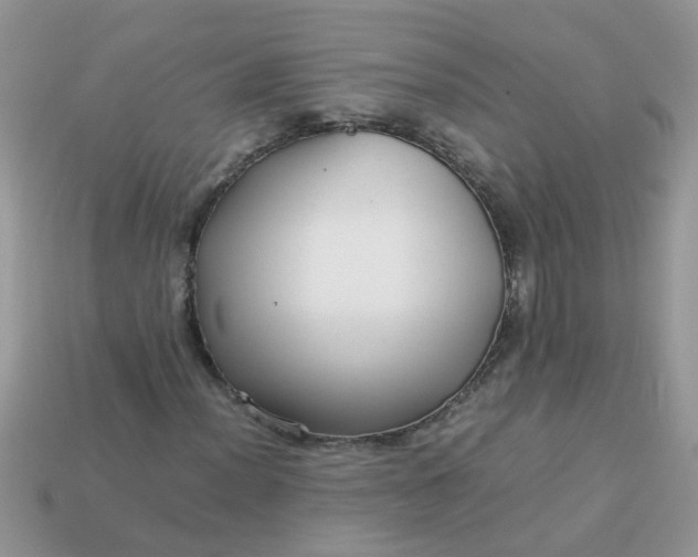 X0000113041012200909101914