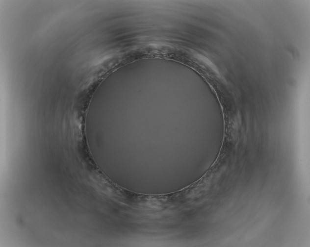 X0000113041013200909101914