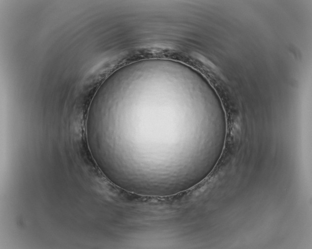 X0000113041014200909101914
