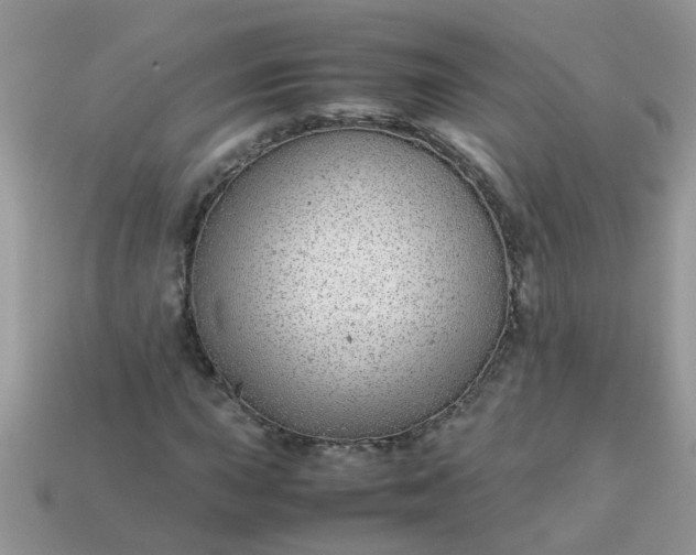 X0000113041015200909101914
