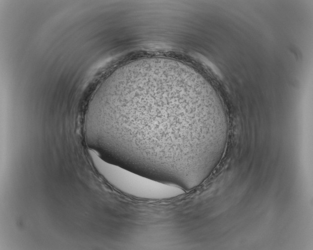 X0000113041016200909101914