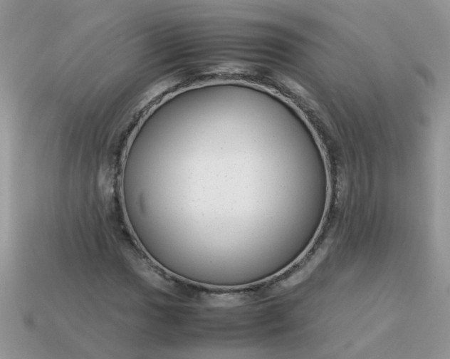 X0000113041017200909101914