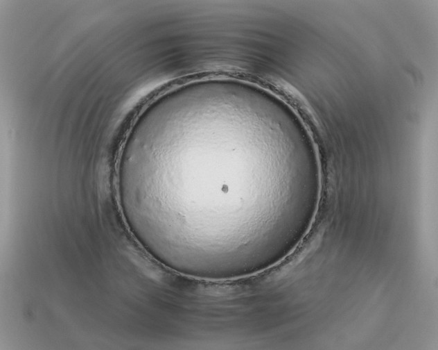 X0000113041019200909101914