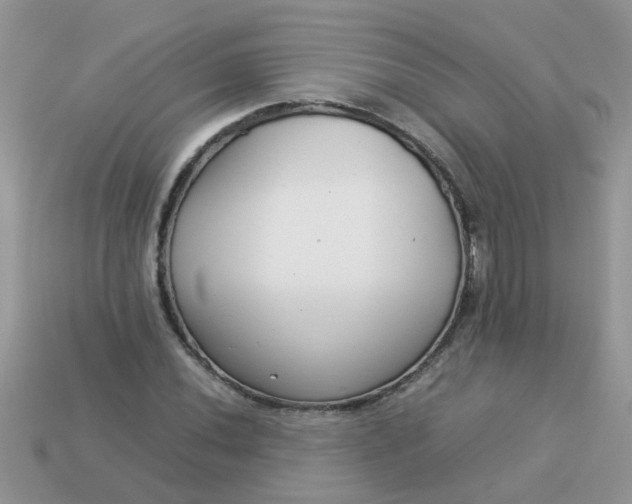X0000113041020200909101914