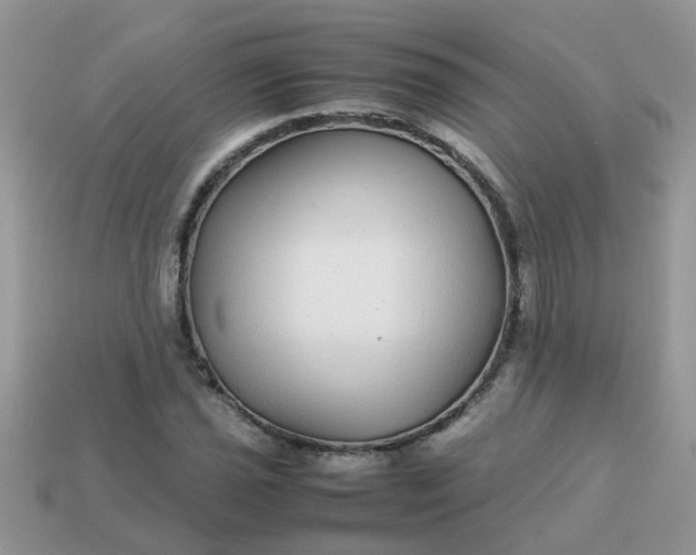 X0000113041021200909101914