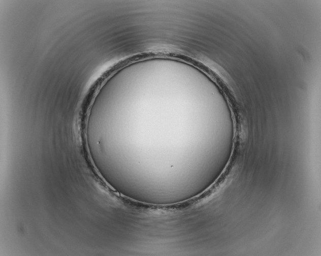 X0000113041022200909101914
