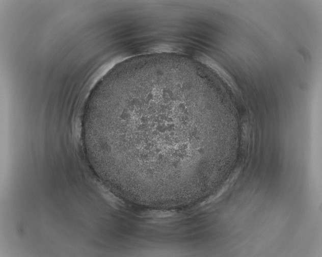 X0000113041023200909101914
