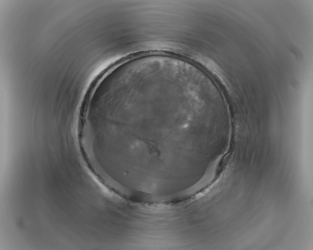 X0000113041024200909101914