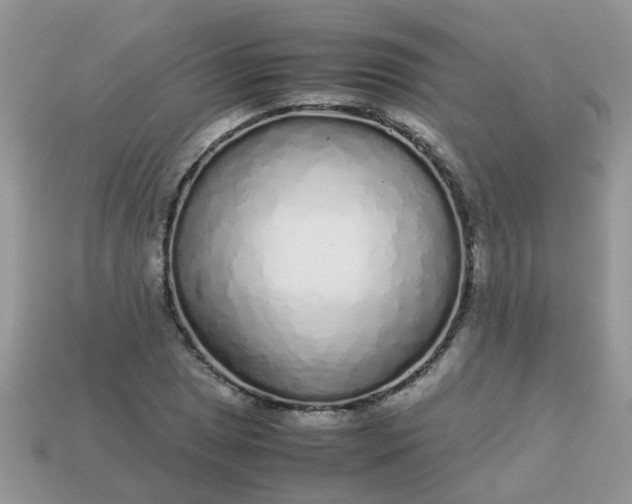 X0000113041025200909101914