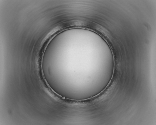 X0000113041026200909101914