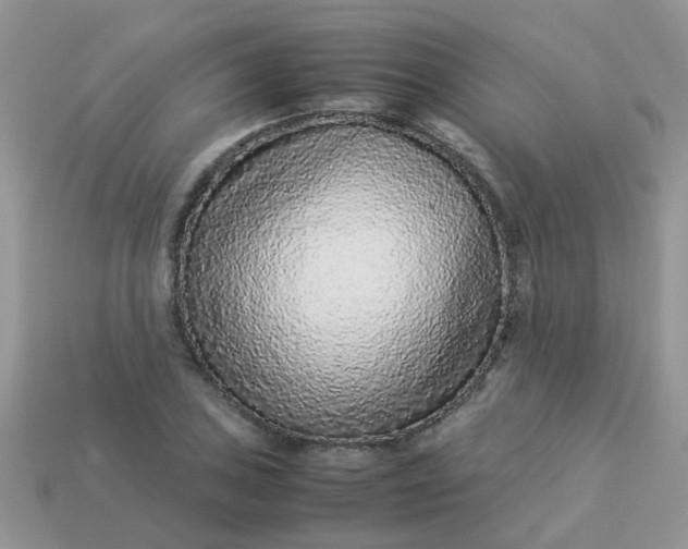 X0000113041027200909101914