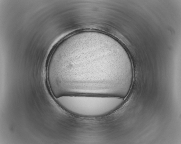 X0000113041028200909101914