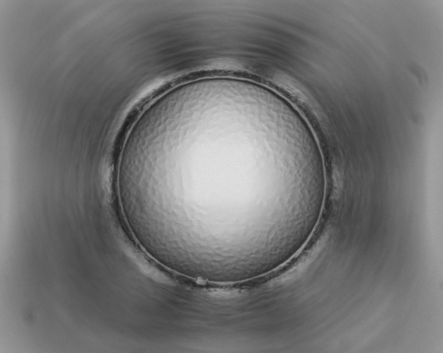 X0000113041029200909101914