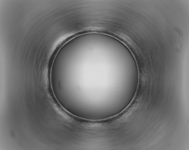 X0000113041030200909101914