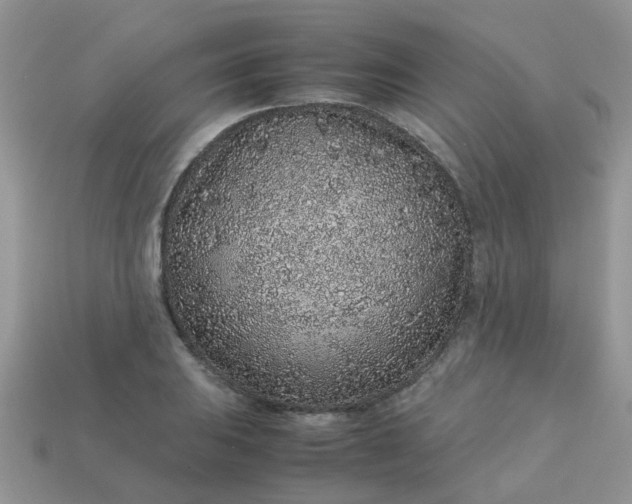 X0000113041031200909101914