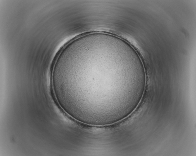 X0000113041032200909101914