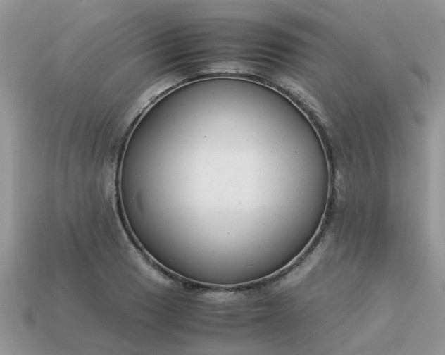 X0000113041033200909101914