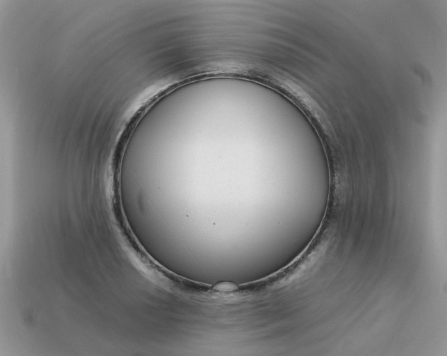 X0000113041034200909101914