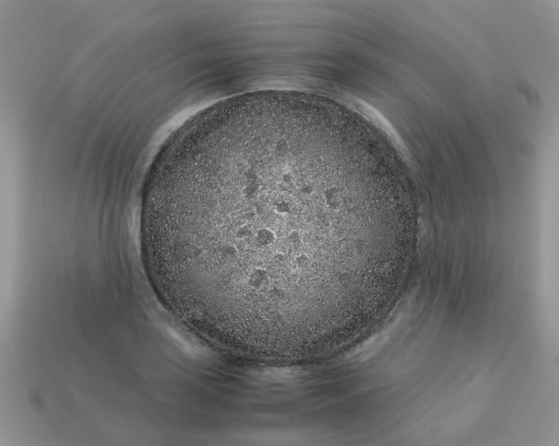X0000113041035200909101914