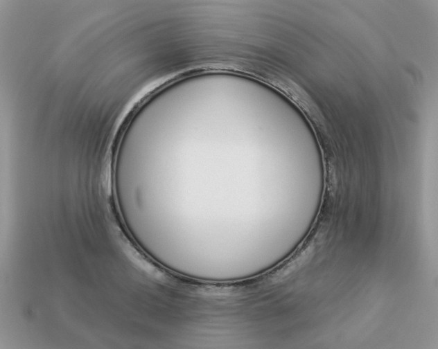 X0000113041036200909101914