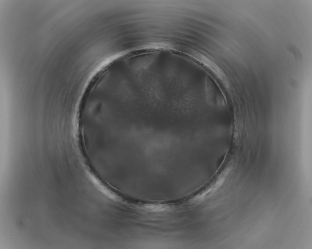 X0000113041037200909101914