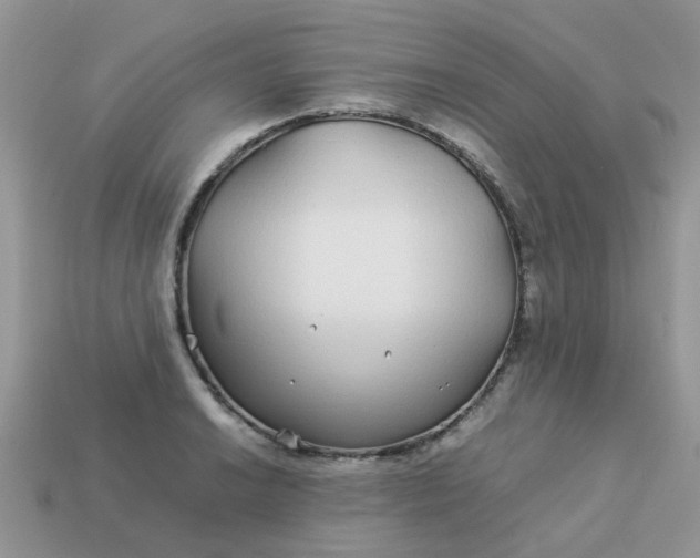 X0000113041038200909101914