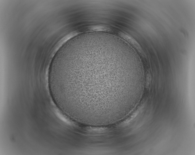 X0000113041039200909101914
