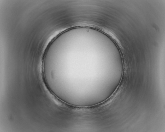 X0000113041040200909101914