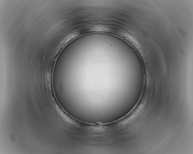 X0000113041041200909101914