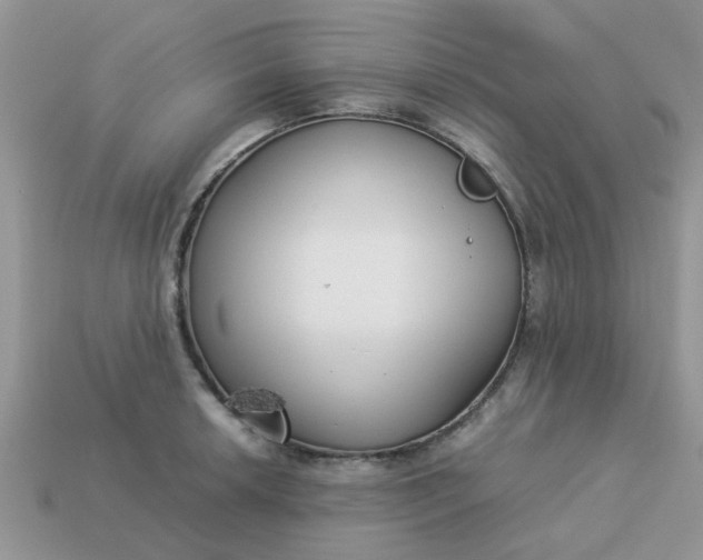 X0000113041042200909101914
