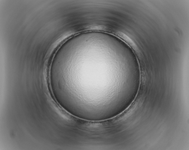 X0000113041043200909101914