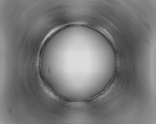 X0000113041044200909101914