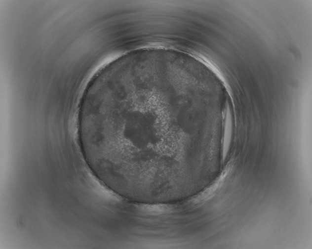 X0000113041045200909101914