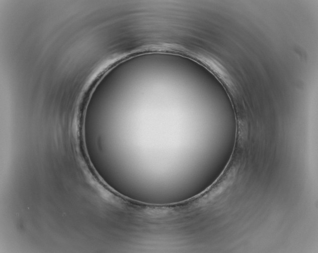 X0000113041046200909101914