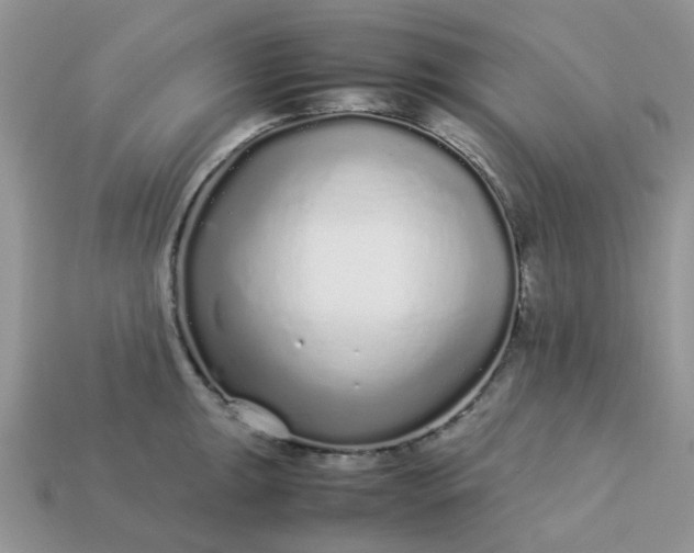 X0000113041047200909101914