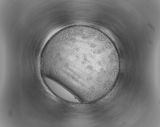 X0000113041048200909101914