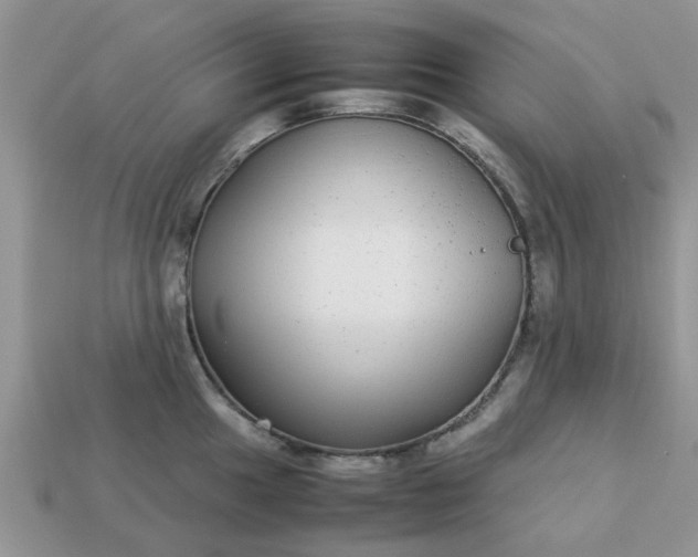 X0000113041049200909101914