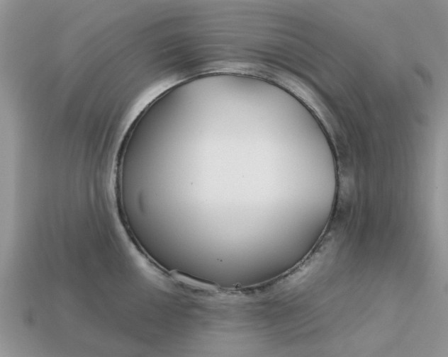 X0000113041050200909101914