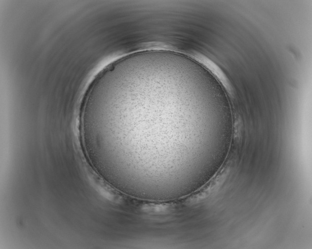 X0000113041051200909101914