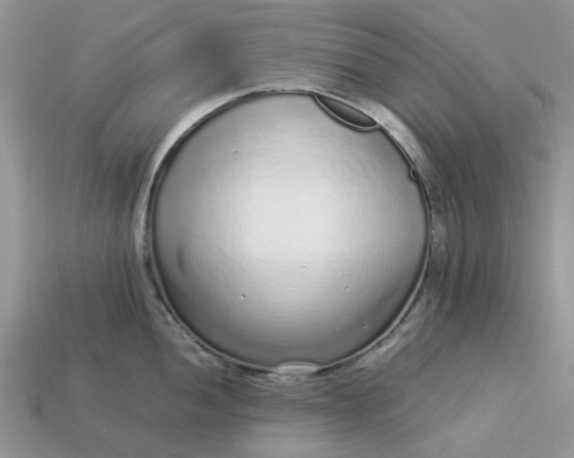 X0000113041052200909101914
